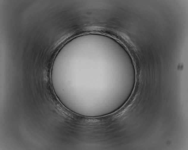 X0000090991209200708021156