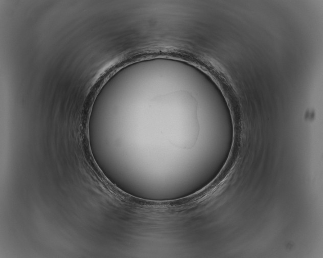 X0000090991210200708021156