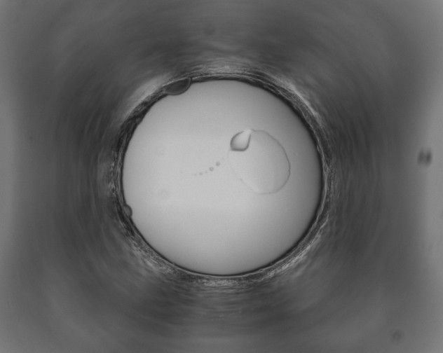 X0000090991211200708021156