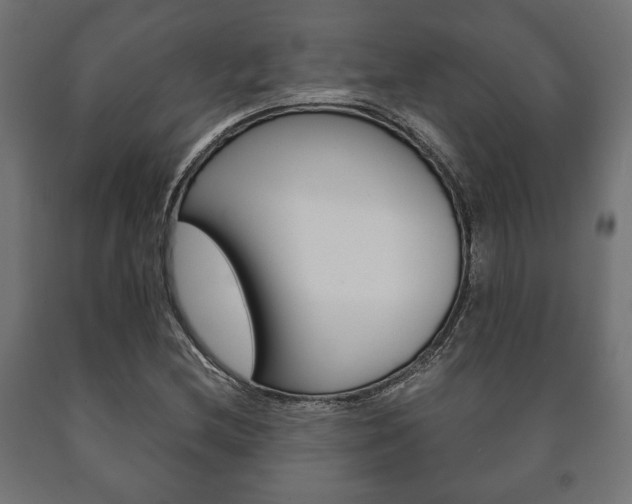 X0000090991212200708021156