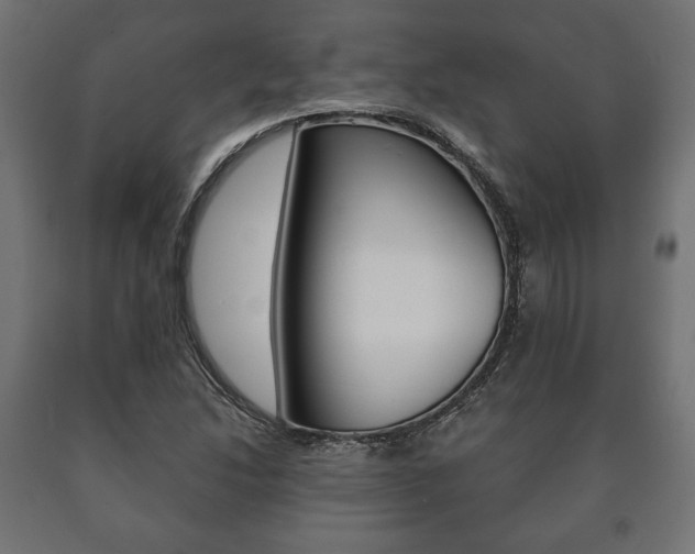 X0000090991214200708021156
