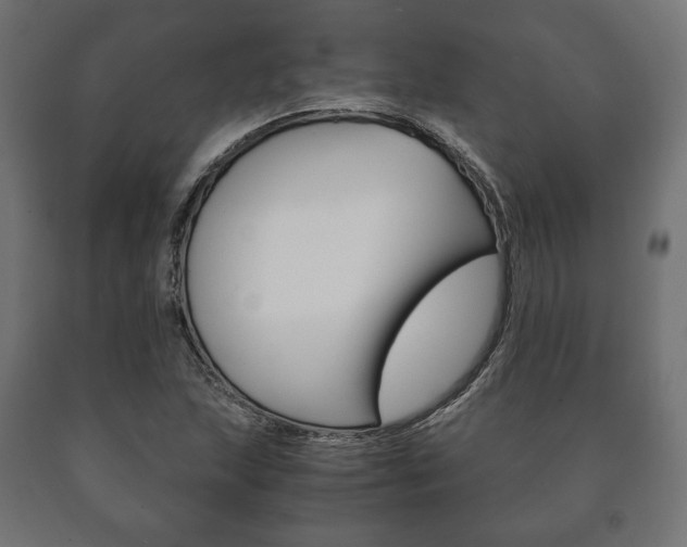 X0000090991215200708021156
