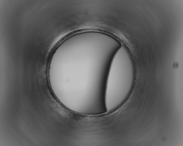 X0000090991216200708021156