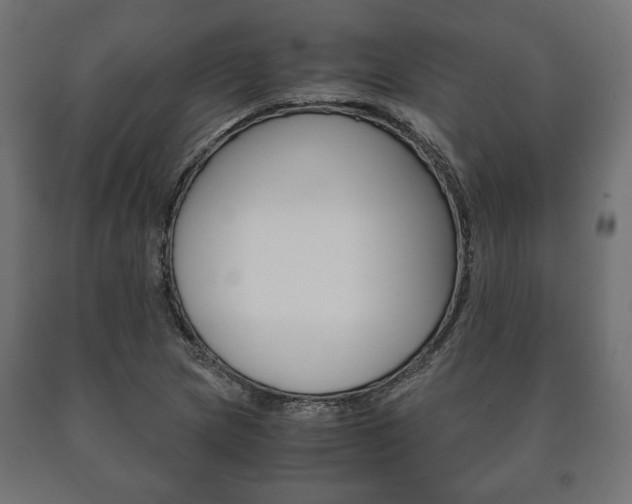 X0000090991217200708021156