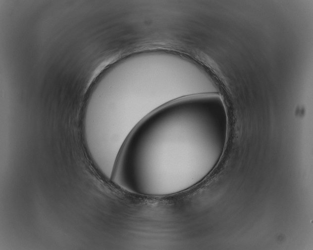 X0000090991218200708021156