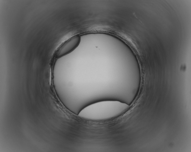 X0000090991219200708021156