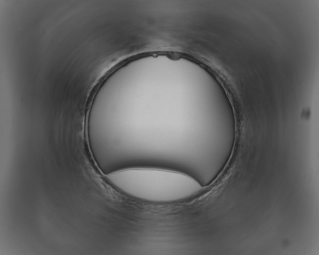 X0000090991220200708021156