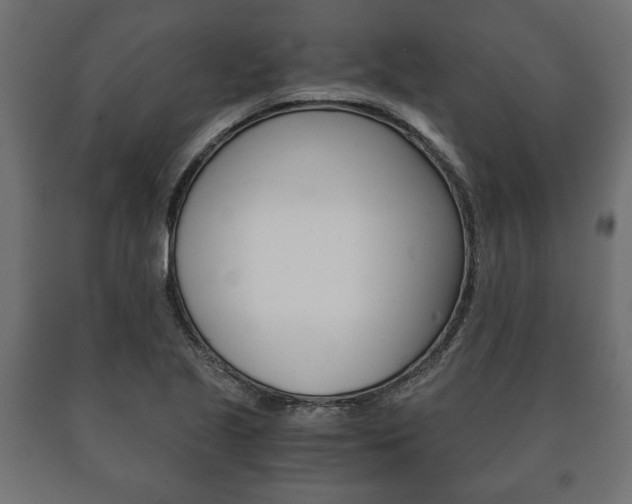 X0000090991221200708021156