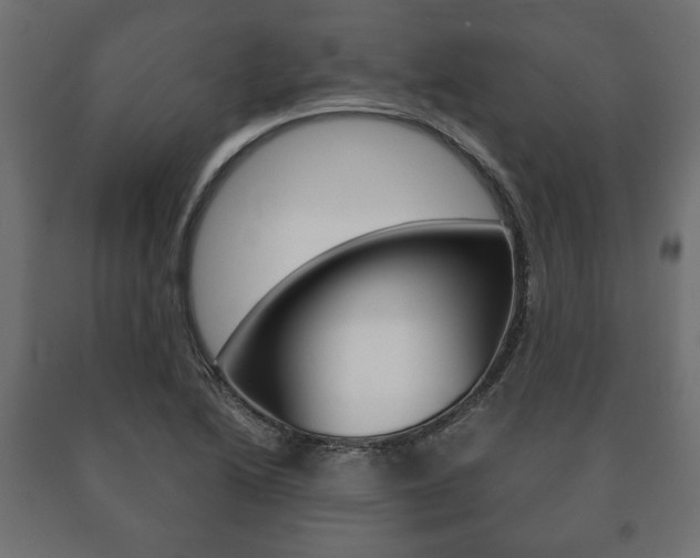 X0000090991222200708021156
