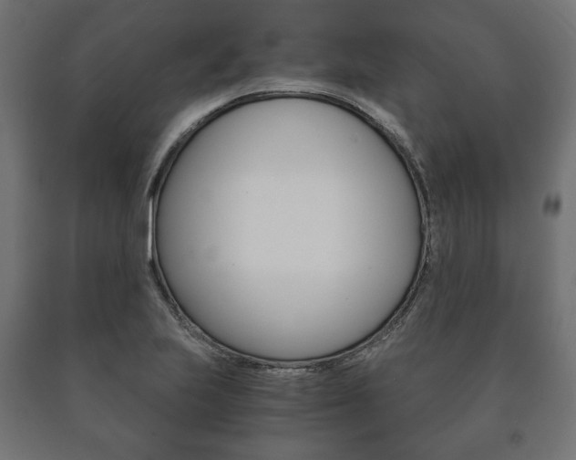 X0000090991223200708021156