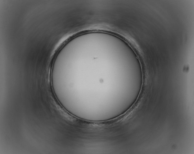 X0000090991224200708021156
