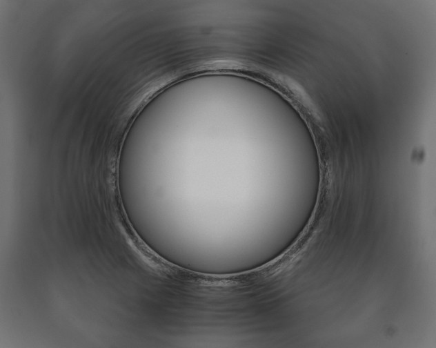 X0000090991225200708021156