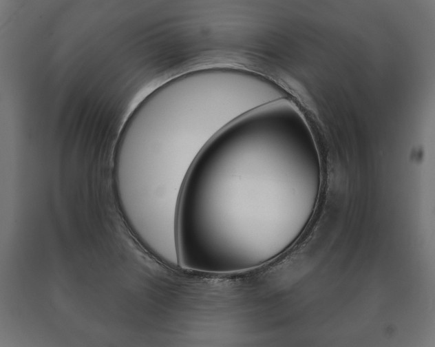 X0000090991226200708021156