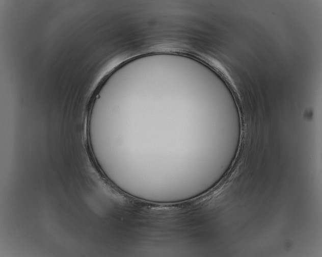 X0000090991227200708021156