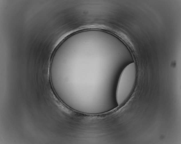X0000090991228200708021156