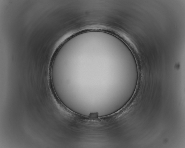 X0000090991229200708021156