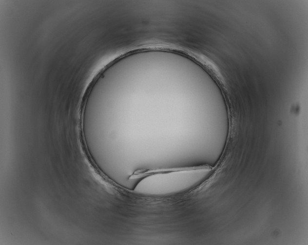 X0000090991231200708021156