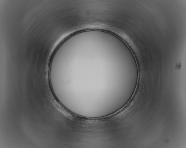 X0000090991232200708021156