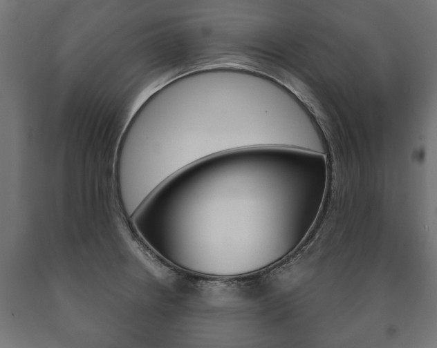 X0000090991234200708021156