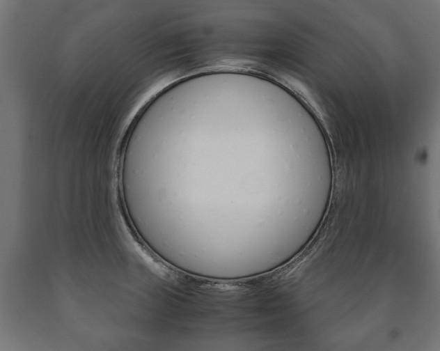 X0000090991235200708021156