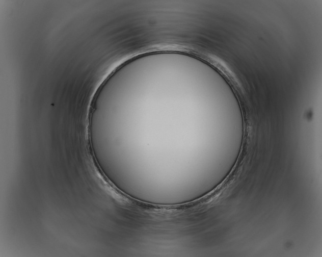 X0000090991236200708021156