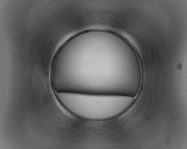 X0000090991237200708021156