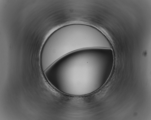 X0000090991238200708021156