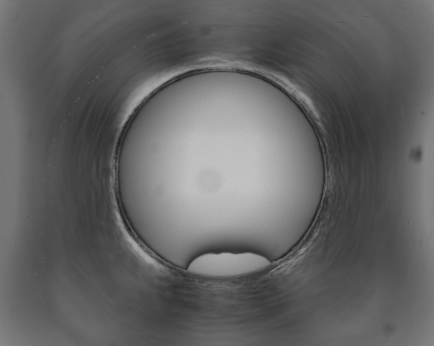 X0000090991239200708021156