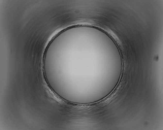 X0000090991240200708021156