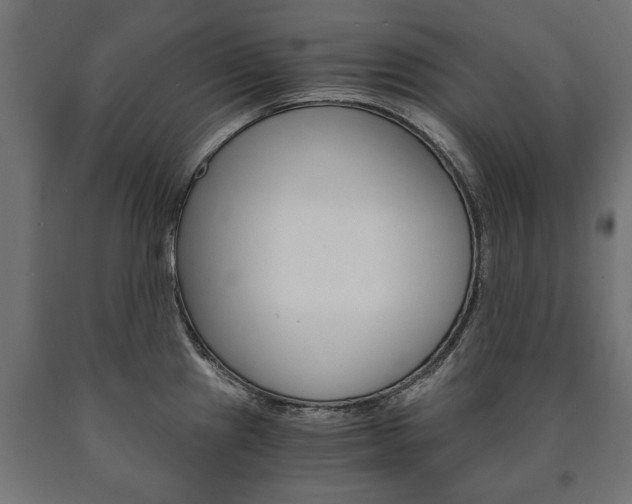 X0000090991241200708021156
