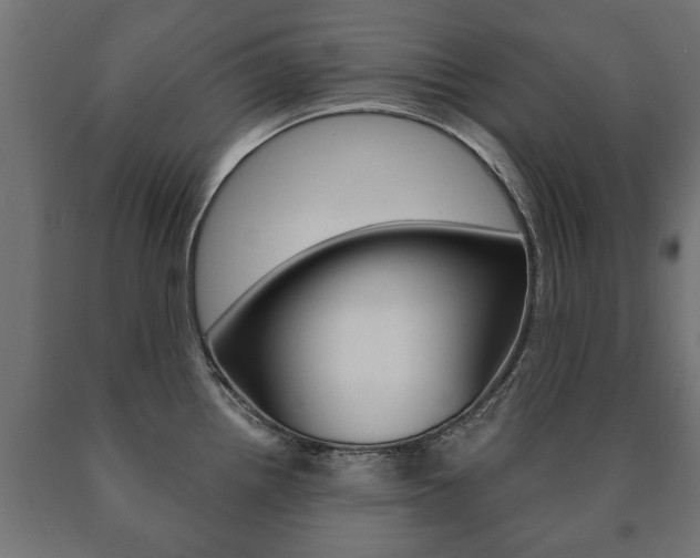 X0000090991242200708021156