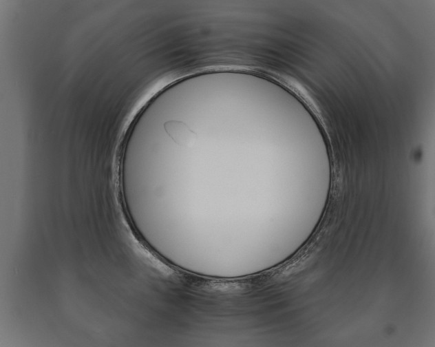 X0000090991243200708021156