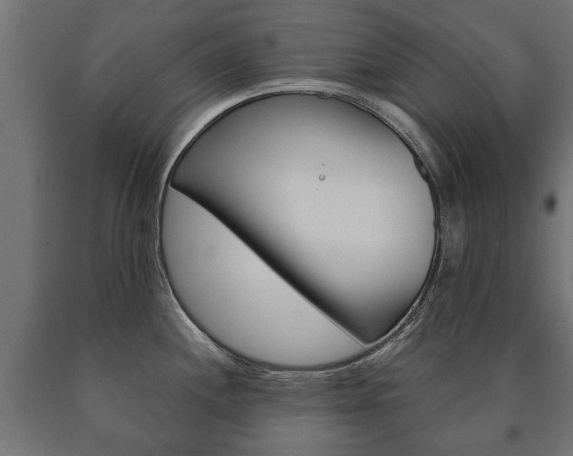 X0000090991244200708021156