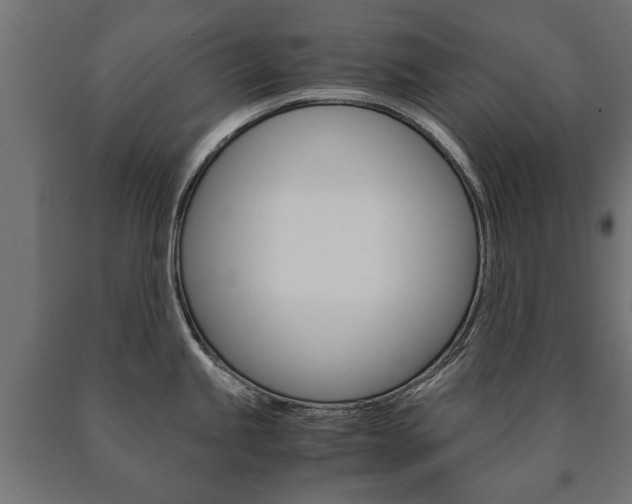 X0000090991245200708021156