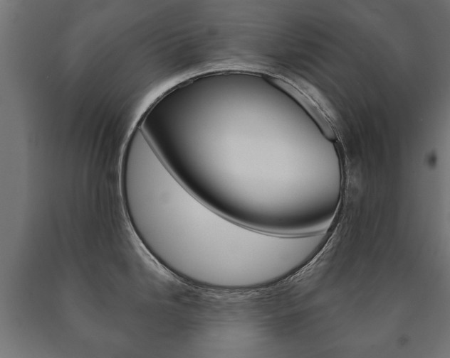 X0000090991246200708021156