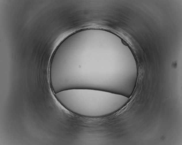 X0000090991247200708021156
