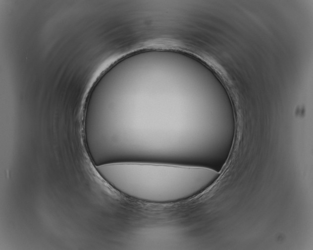X0000090991248200708021156