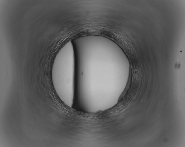 X0000090991249200708021155