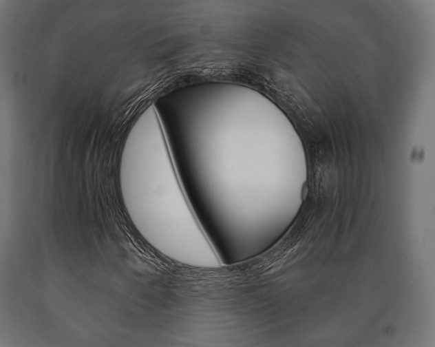 X0000090991250200708021155