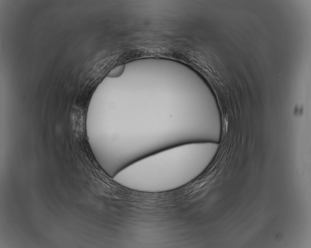 X0000090991251200708021155