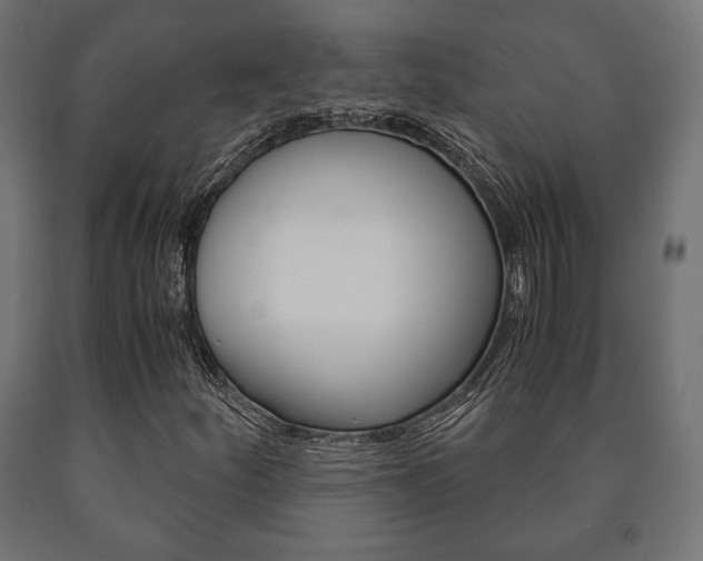 X0000090991252200708021155