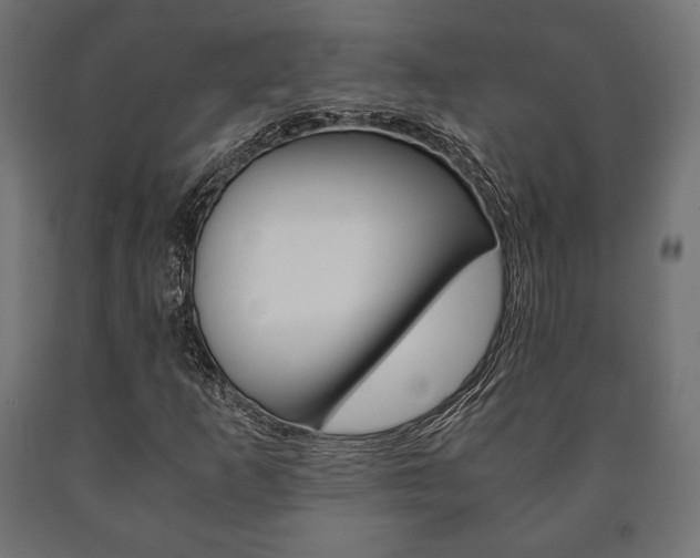 X0000090991253200708021155