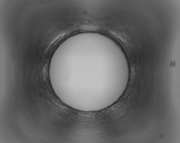 X0000090991254200708021155