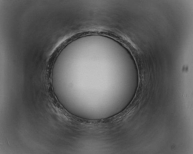X0000090991256200708021155