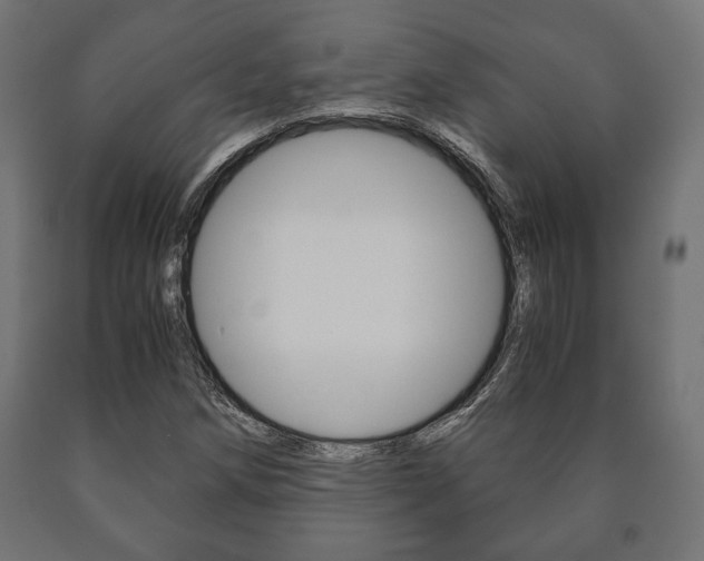 X0000090991258200708021155