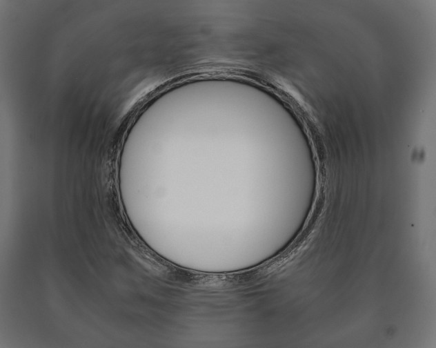 X0000090991259200708021155