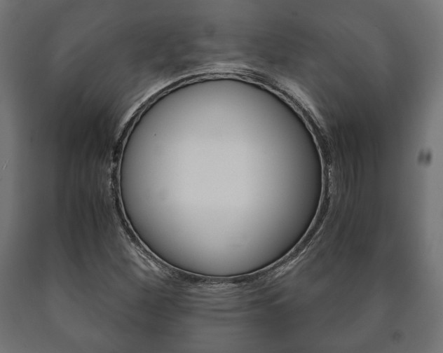 X0000090991260200708021155