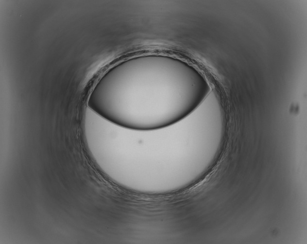X0000090991261200708021155