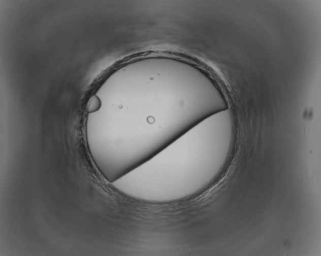 X0000090991263200708021155