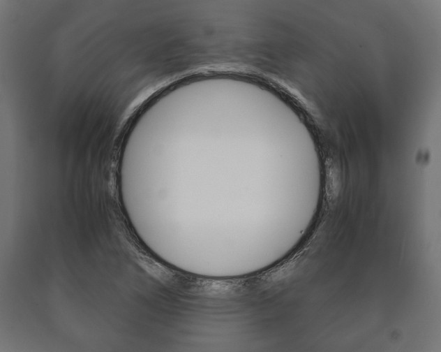 X0000090991266200708021155